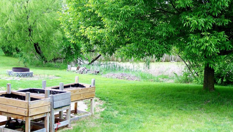 2316 Coldwater Crossing, Mayer, MN 55360