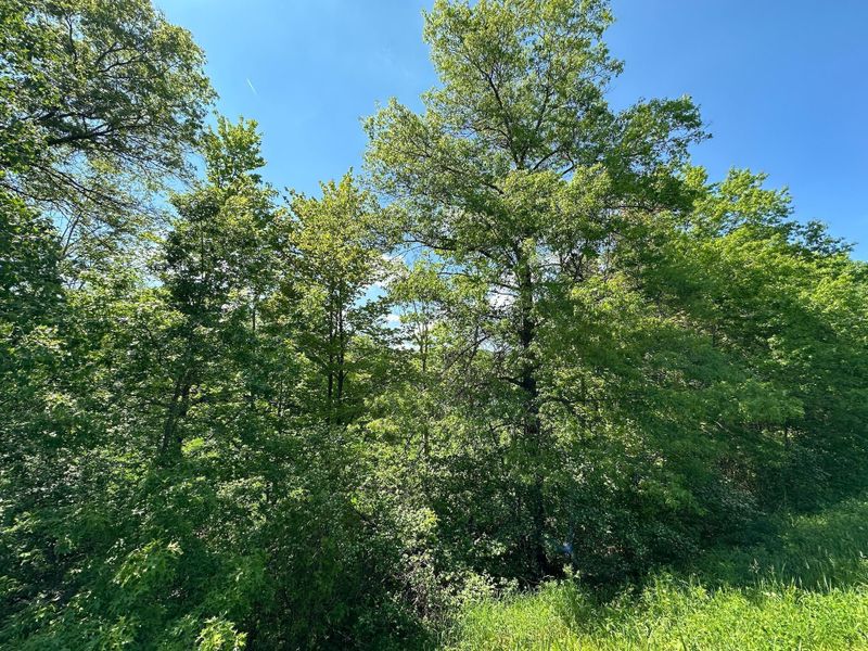 TBD 140th St, Amery, WI 54001