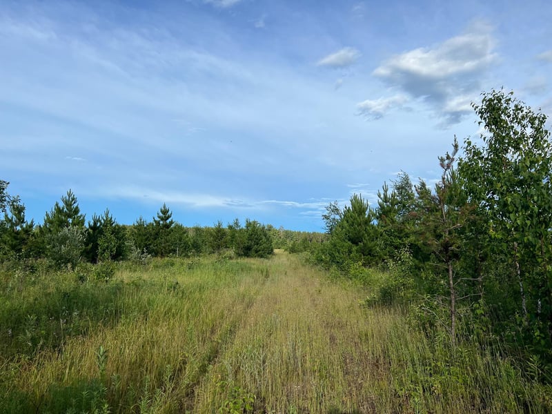 W39XX Frog Creek Rd, Minong, WI 54859