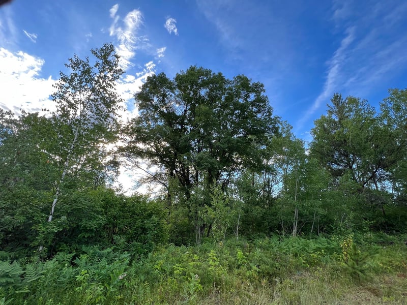 W39XX Frog Creek Rd, Minong, WI 54859