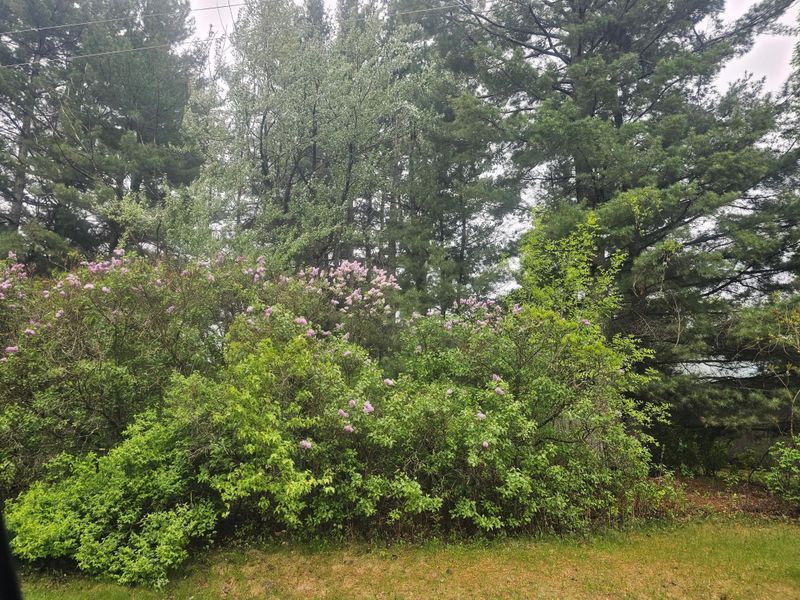 27599 Reitz Rd, Webster, WI 54893