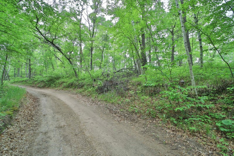 TBD Timber Ridge Dr, Baxter, MN 56425