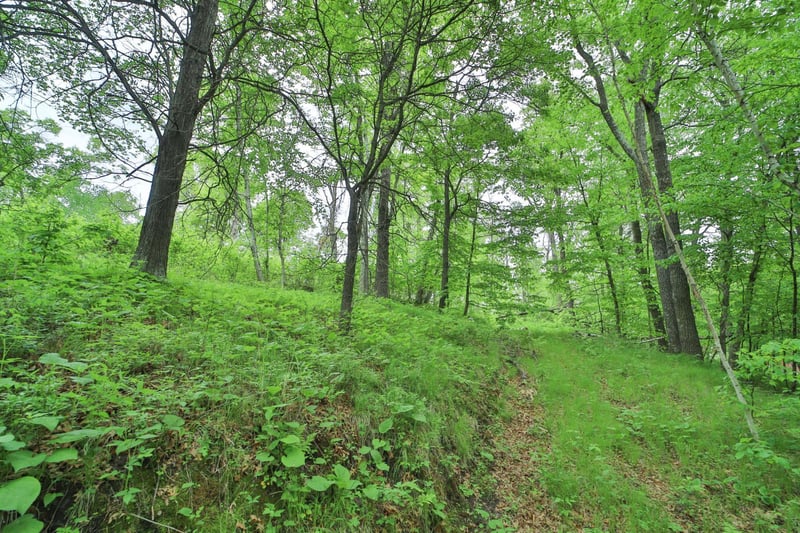 TBD Timber Ridge Dr, Baxter, MN 56425