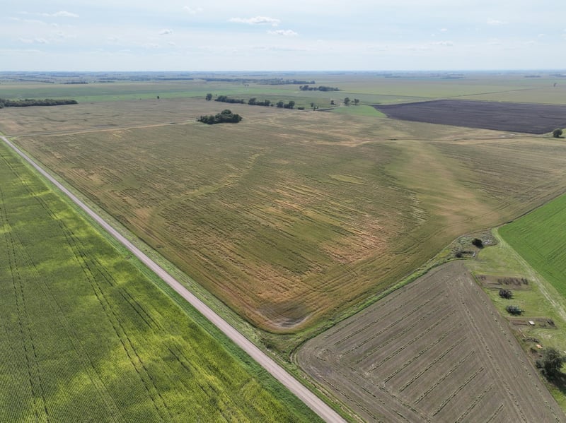 TBD 110th St, Herman, MN 56248