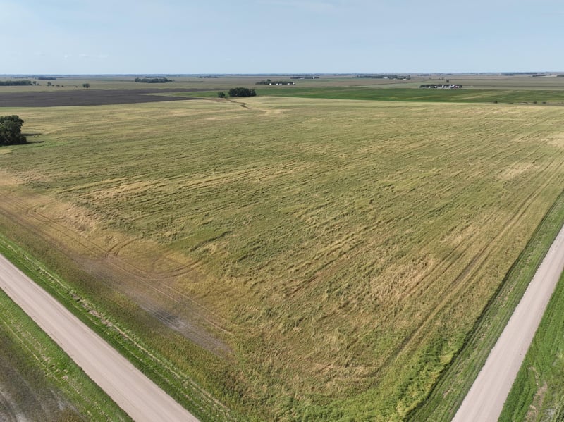 TBD 110th St, Herman, MN 56248
