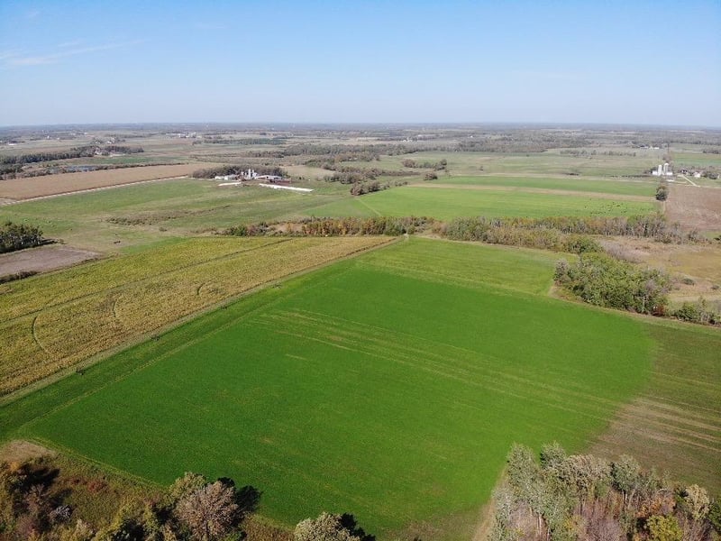 XXX 610th Ave, Bluffton, MN 56518