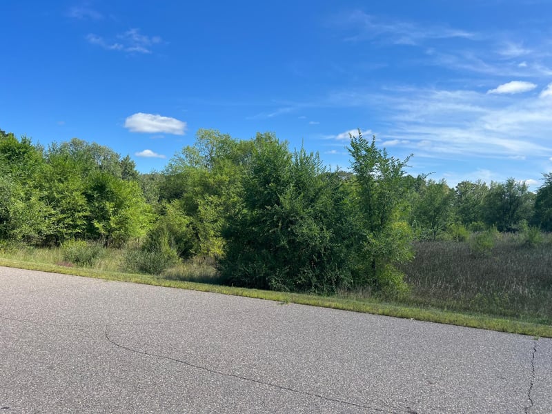 xxx 177th Ave SE, Becker, MN 55308