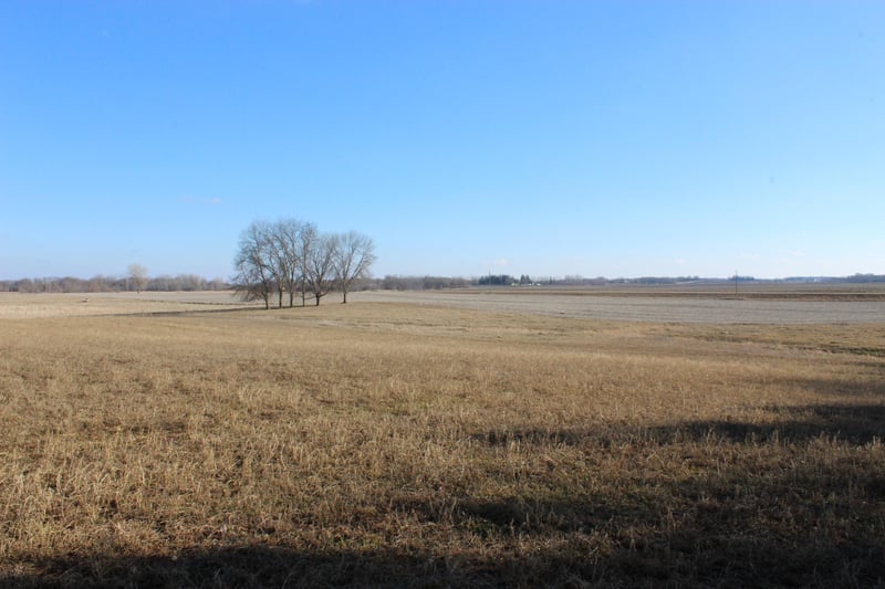XXX Kilbury Ave Sw, Howard Lake, MN 55349
