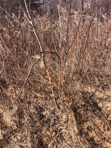 TBD Ut Rd 599, Swatara, MN 55785