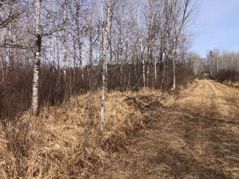 TBD Ut Rd 599, Swatara, MN 55785