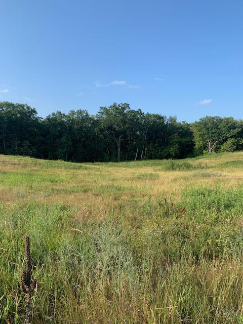 xxx 218th St N, Scandia, MN 55073