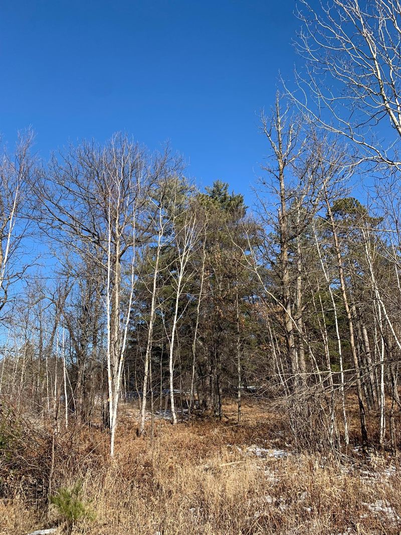 TBD NW Grouse Loop, Walker, MN 56484