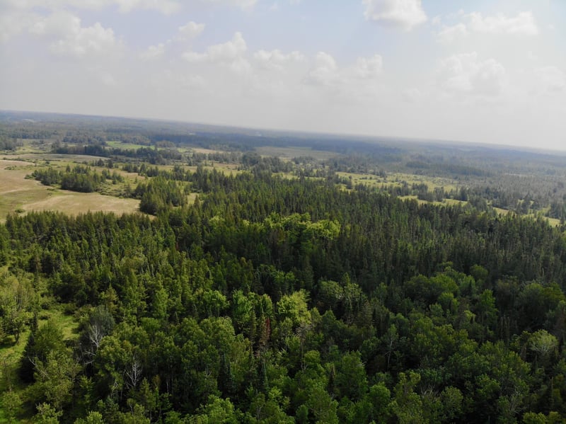 44192 Pioneer Rd, Sturgeon Lake, MN 55783