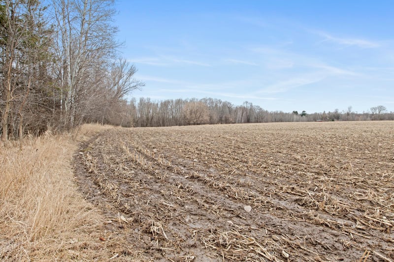75XX 383rd Ave NW, Dalbo, MN 55017