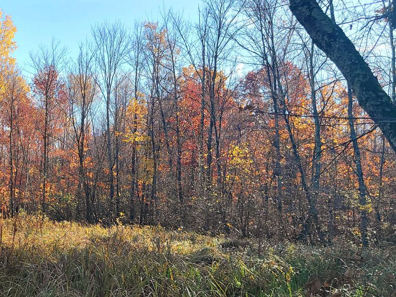 TBD Us Hwy 77, Minong, WI 54859