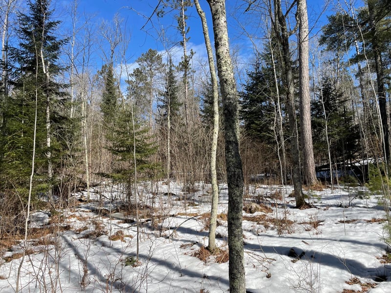6032 Voyageurs Trl, Biwabik, MN 55708