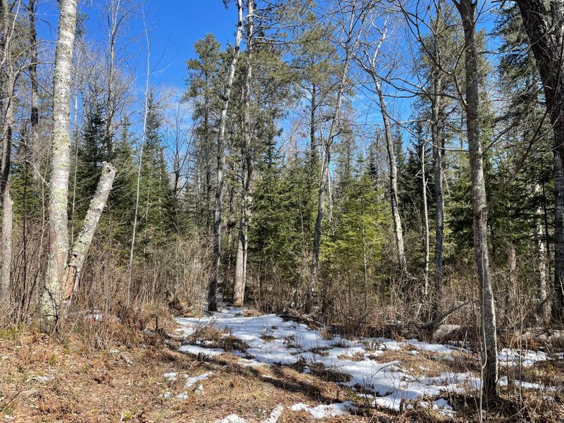 6206 Needleleaf Rd, Biwabik, MN 55708