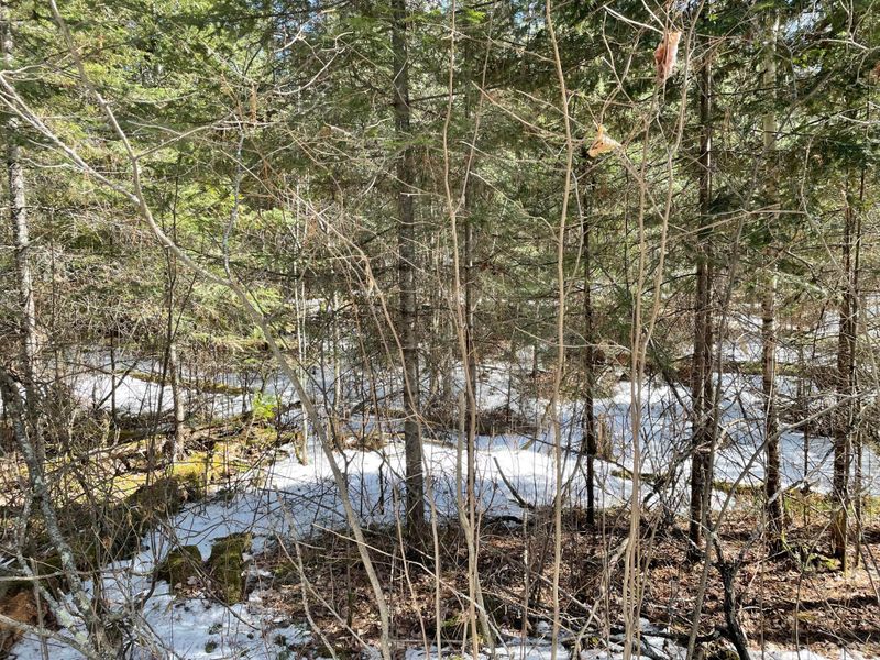 6206 Needleleaf Rd, Biwabik, MN 55708