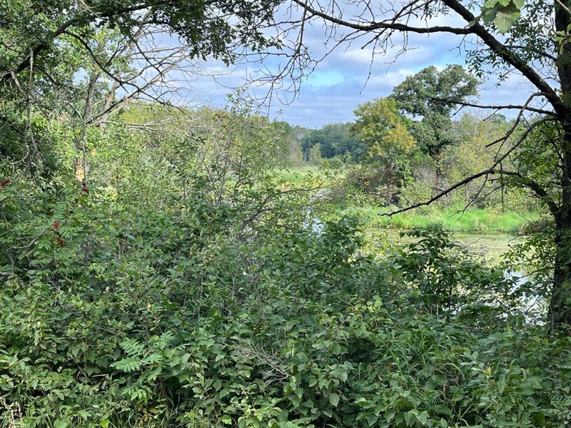 1707 Hassman Hill Tract A Rd SW, Pine River, MN 56474