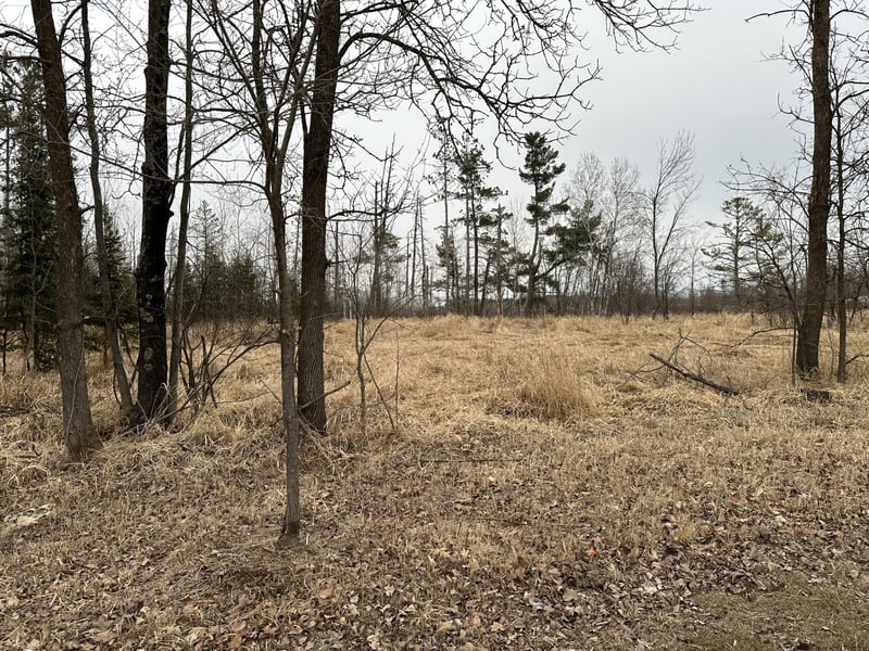 3 acres 7th St, Weyerhaeuser, WI 54895