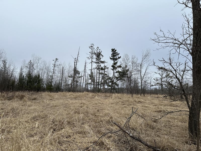3 acres 7th St, Weyerhaeuser, WI 54895