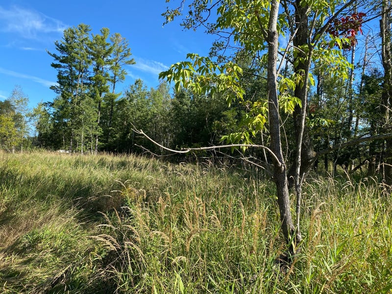 3 acres 7th St, Weyerhaeuser, WI 54895