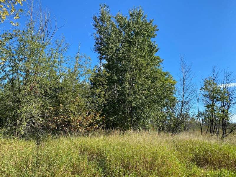 3 acres 7th St, Weyerhaeuser, WI 54895