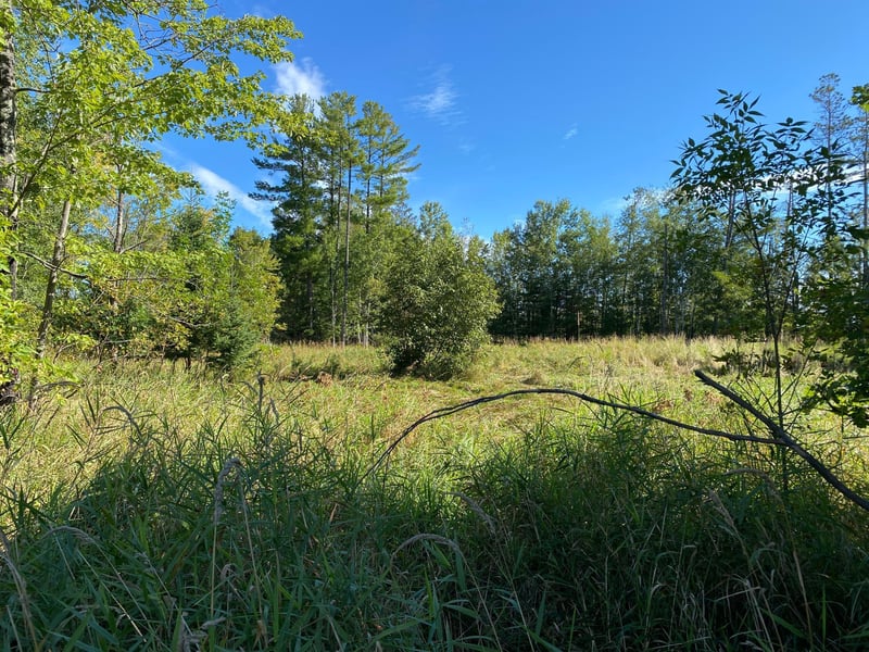 3 acres 7th St, Weyerhaeuser, WI 54895