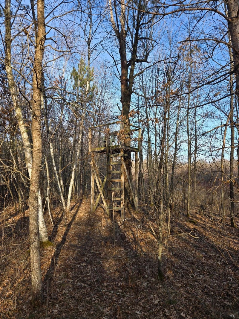 Lot 2 County Road S, Wheeler, WI 54772