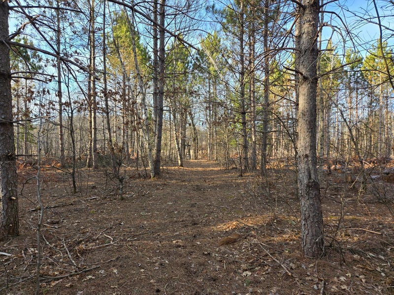 Lot 2 County Road S, Wheeler, WI 54772