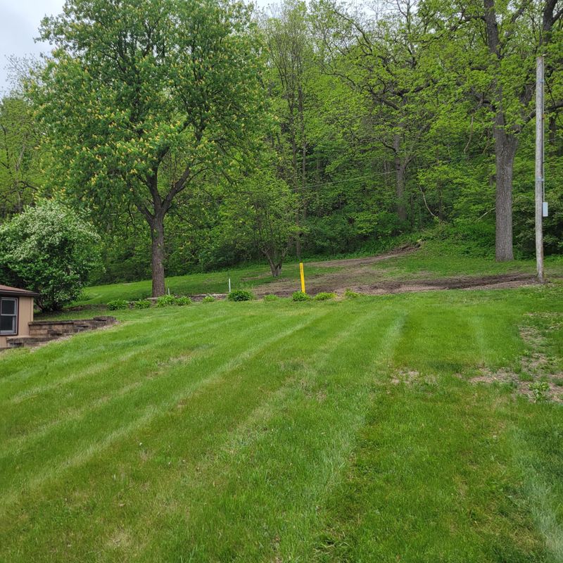 700 Auburn Ave S, Lanesboro, MN 55949