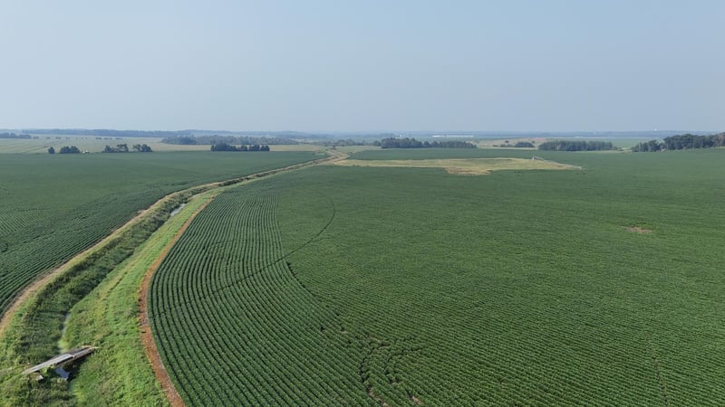 TBD County 61, Browerville, MN 56438