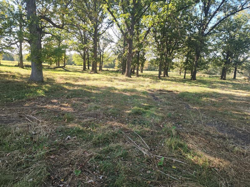 12186 190th St, Wadena, MN 56482