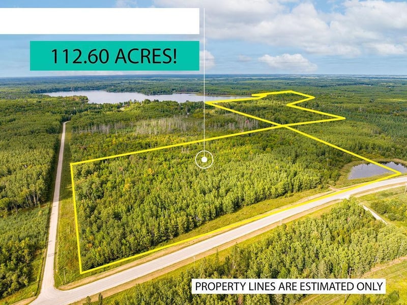 xxx County Rd 56, Nashwauk, MN 55769