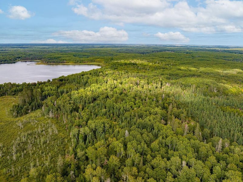 xxx County Rd 56, Nashwauk, MN 55769