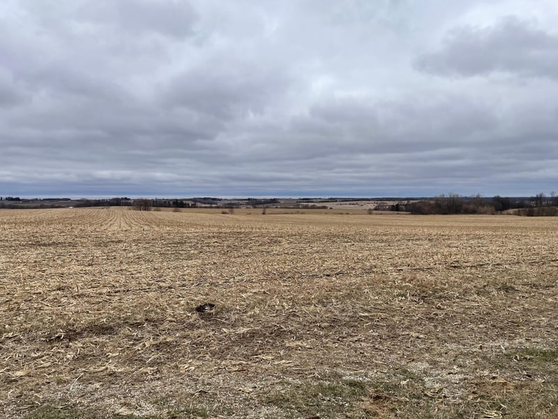 XXX 87th St SE, Stewartville, MN 55976