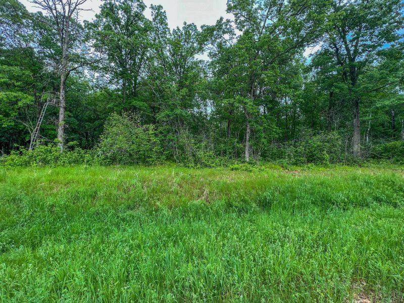 TBD Acorn Ridge Rd NW, Bemidji, MN 56601