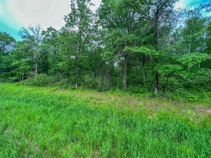 TBD Acorn Ridge Rd NW, Bemidji, MN 56601