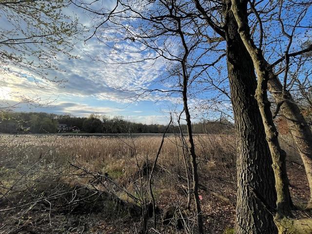 xxx Bryant Ave, Mahtomedi, MN 55115