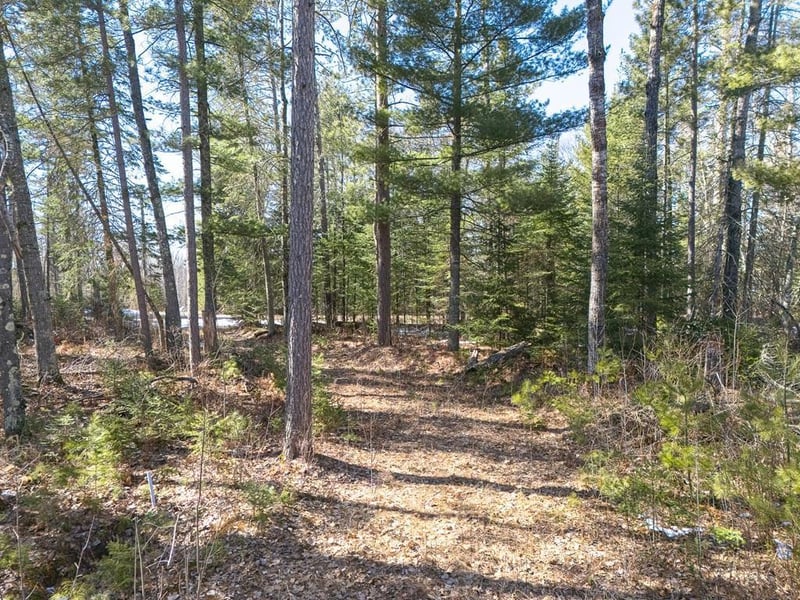 290 S Lake Lawrence Rd NE, Outing, MN 56662