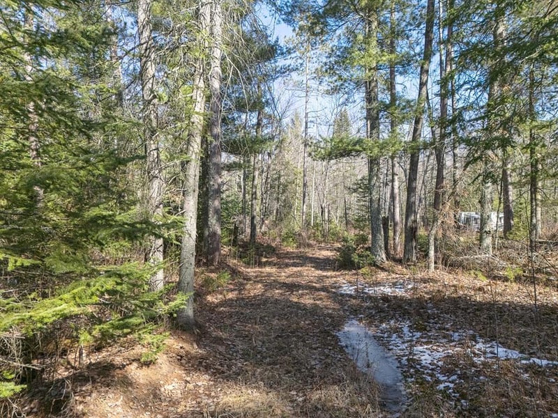 290 S Lake Lawrence Rd NE, Outing, MN 56662