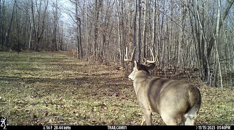 TBD 250th St, Mahnomen, MN 56557