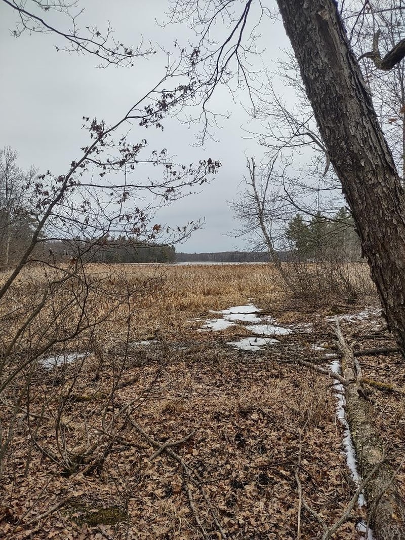 Lot 1 XXX Blaiszik's Bay Ln, Hayward, WI 54843