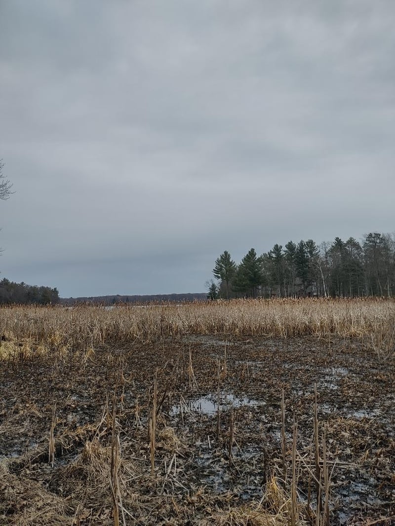 Lot 1 XXX Blaiszik's Bay Ln, Hayward, WI 54843