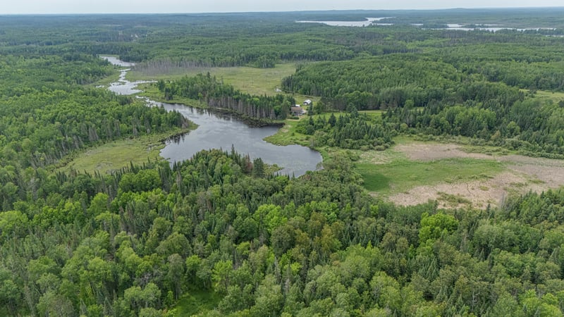 49306 Chokecherry Ln, Marcell, MN 56657