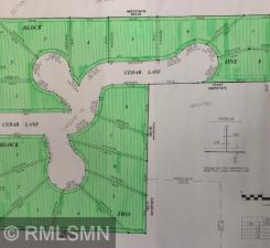 1301 Cedar Ln, Litchfield, MN 55355
