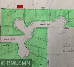 1317 Cedar Ln, Litchfield, MN 55355