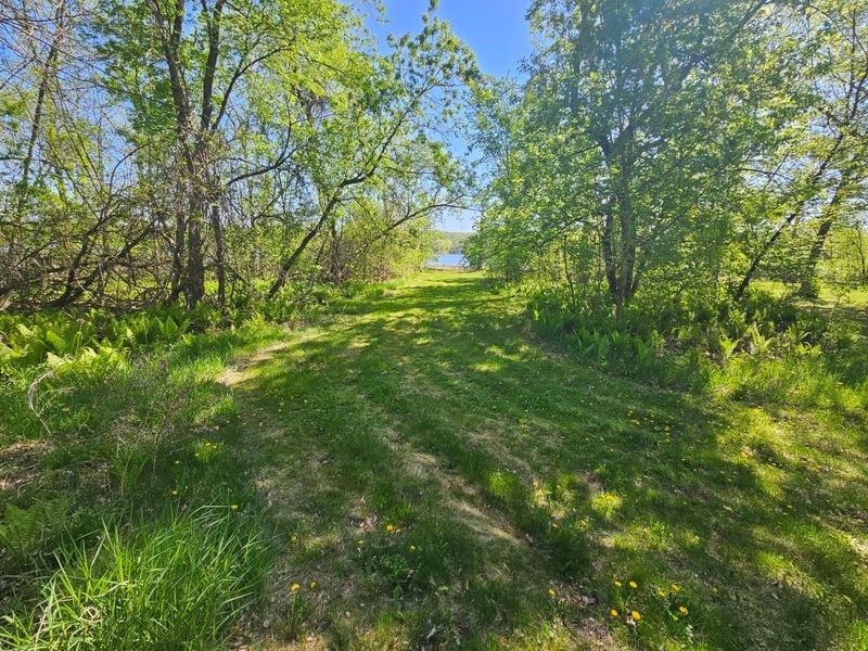 TBD Cr 13 Rd, Grey Eagle, MN 56336