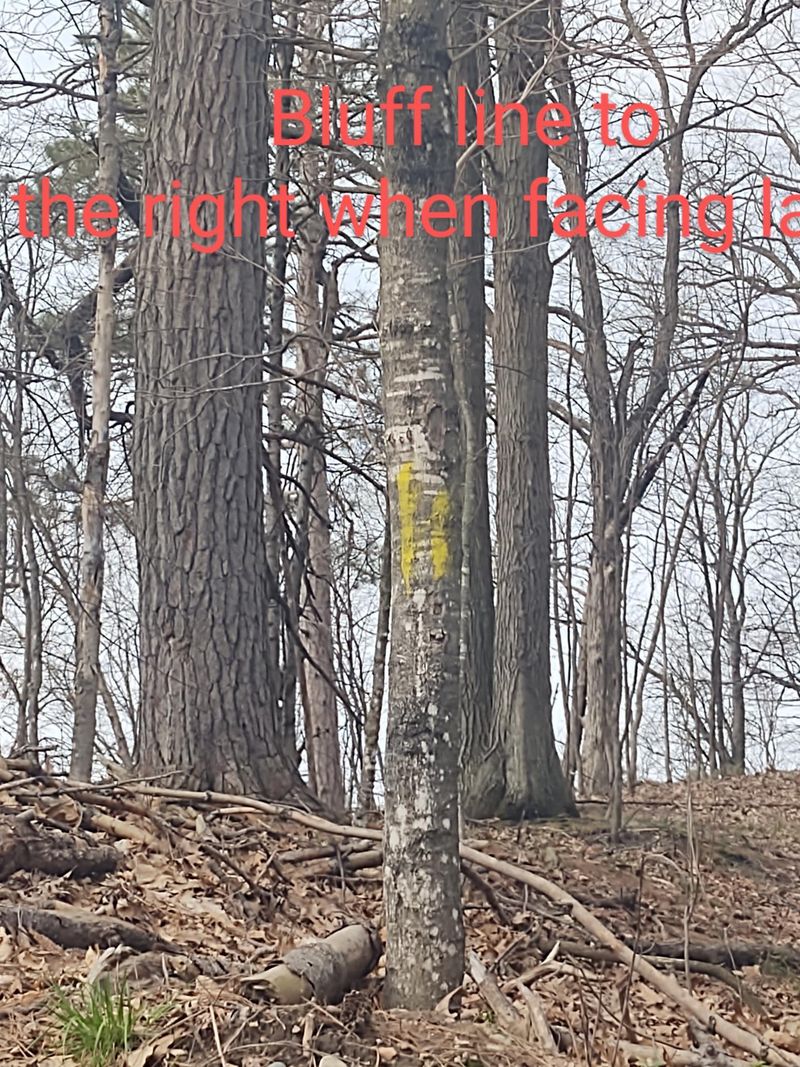Outlot B Greenhow Point Rd, Brainerd, MN 56401