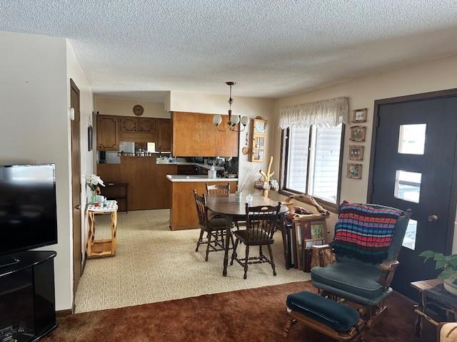 54228 Highway 72 NE, Waskish, MN 56685